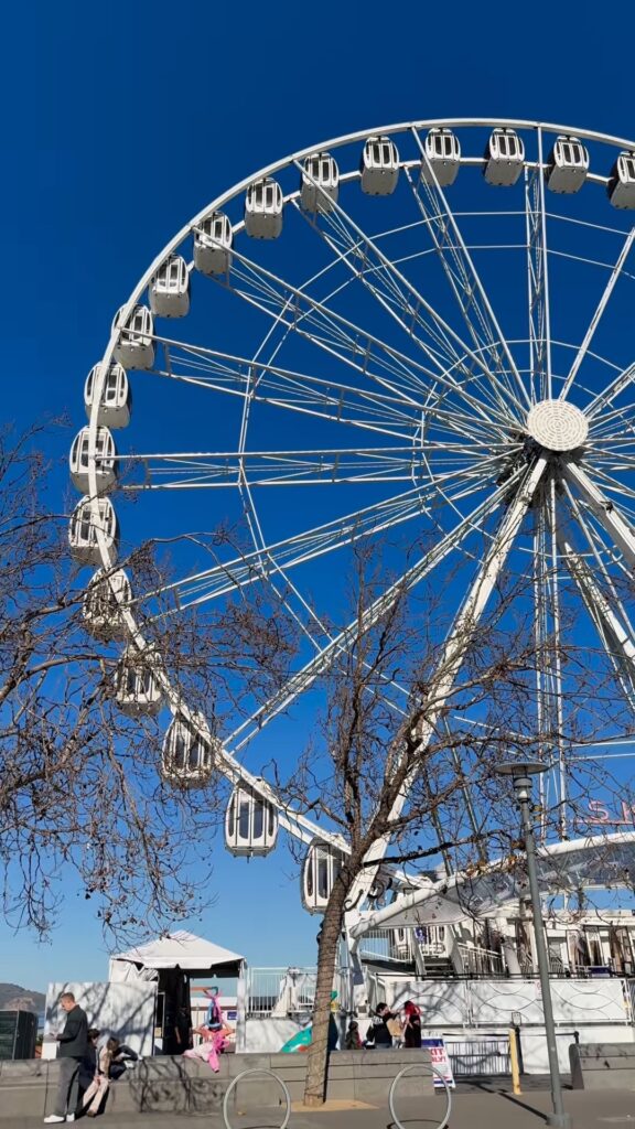 White Ferris wheel at the San Francisco waterfront against a clear blue sky, with bare trees and visitors at its base